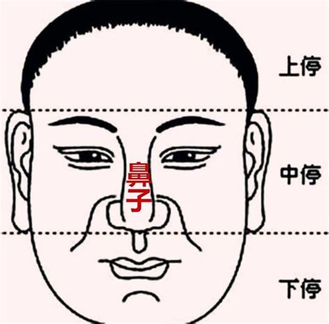 鼻面相|「面相」鼻為面王，鼻子看你性格和財運！